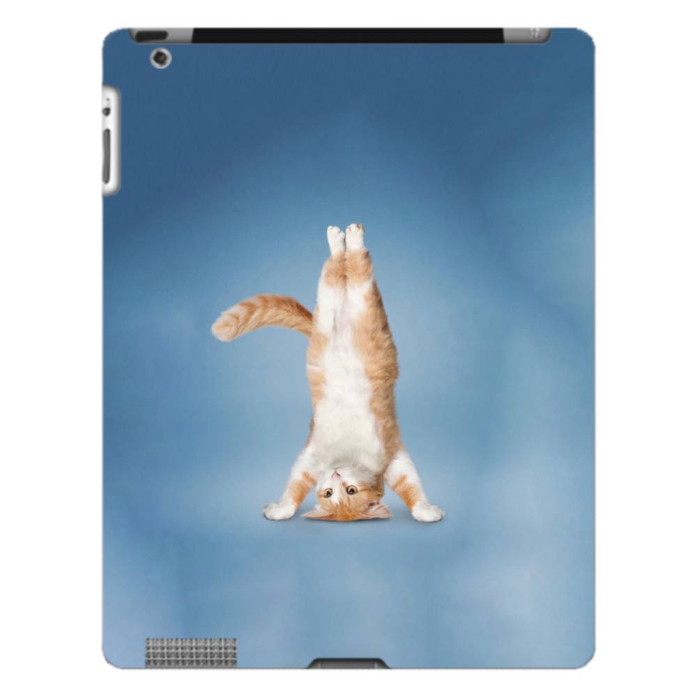 Why your cat needs an iPad