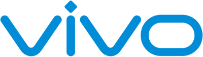 Vivo Cases